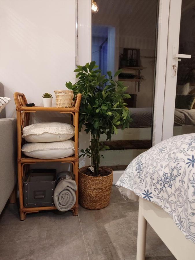 Superbe Appartement Avec Jacuzzi Avec Jardin Prive Lyon Ngoại thất bức ảnh