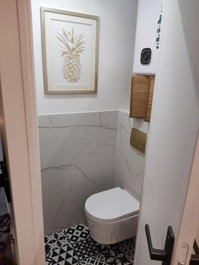 Superbe Appartement Avec Jacuzzi Avec Jardin Prive Lyon Ngoại thất bức ảnh
