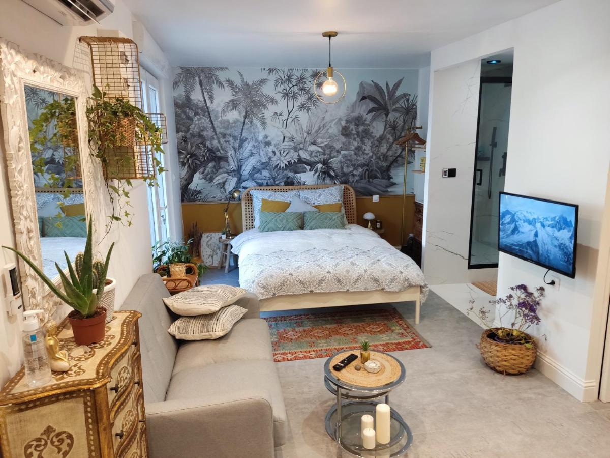 Superbe Appartement Avec Jacuzzi Avec Jardin Prive Lyon Ngoại thất bức ảnh